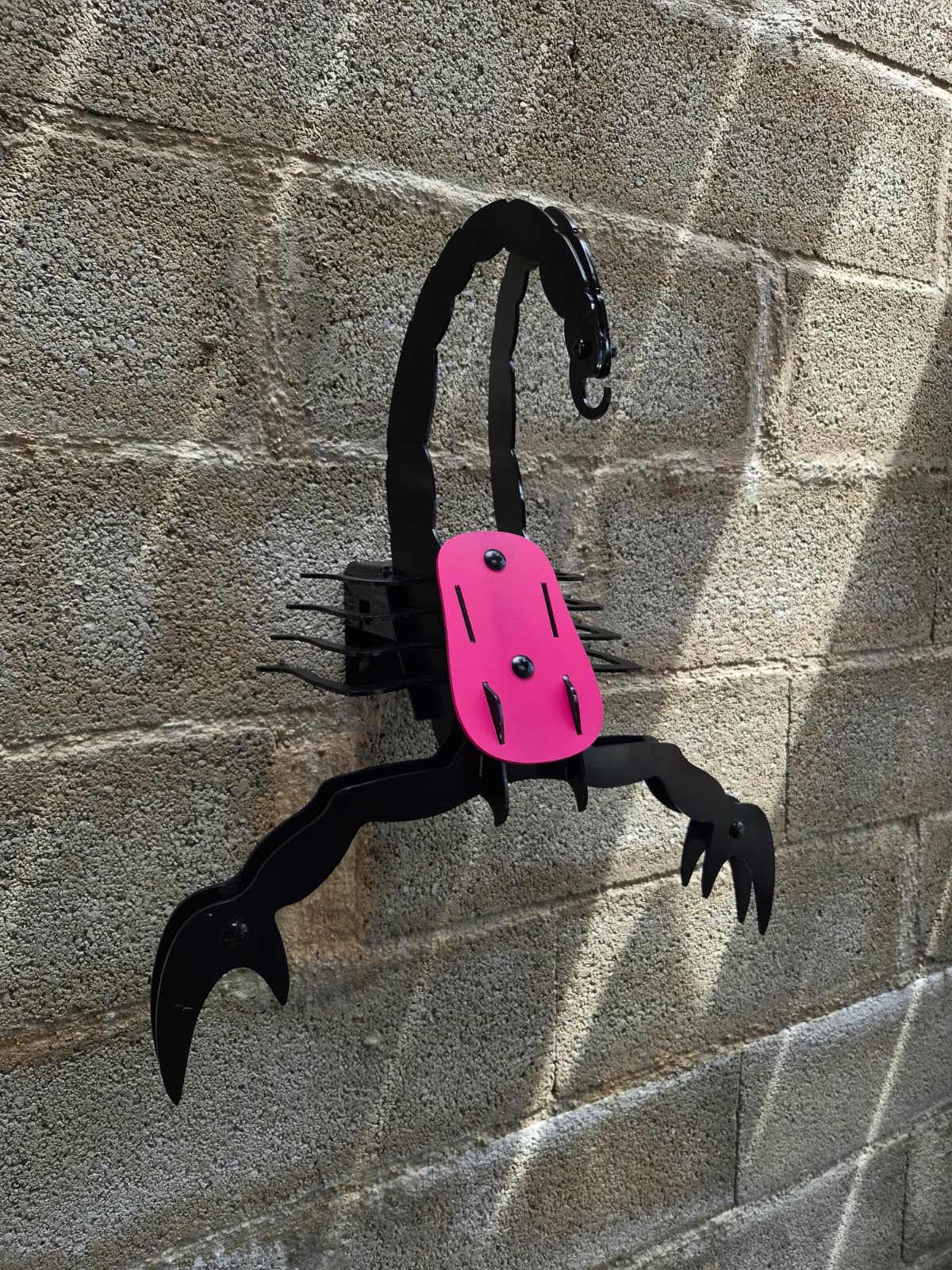 VENTRATRIX – PINK & BLACK EDITION