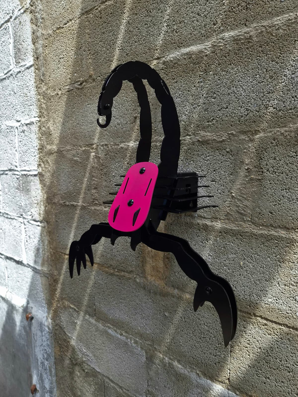 VENTRATRIX – PINK & BLACK EDITION