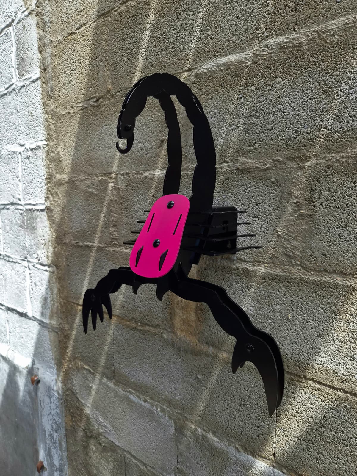 VENTRATRIX – PINK & BLACK EDITION