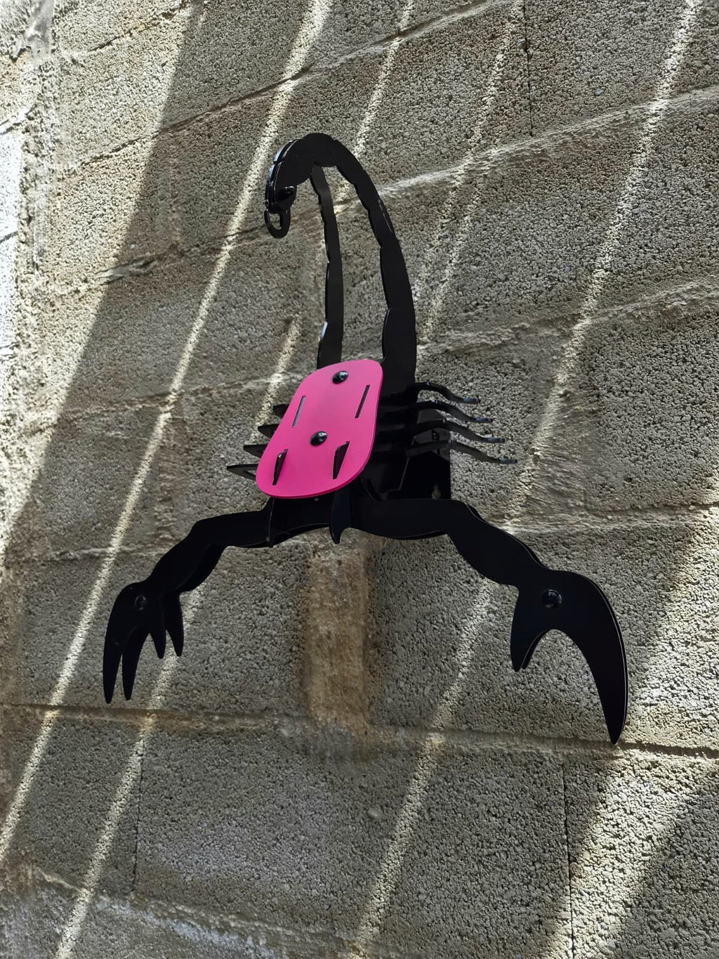 VENTRATRIX – PINK & BLACK EDITION