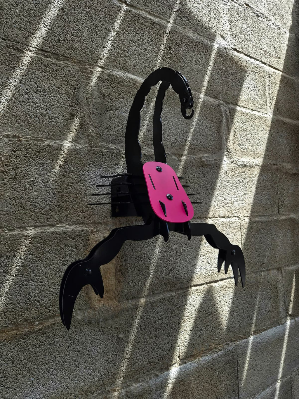 VENTRATRIX – PINK & BLACK EDITION